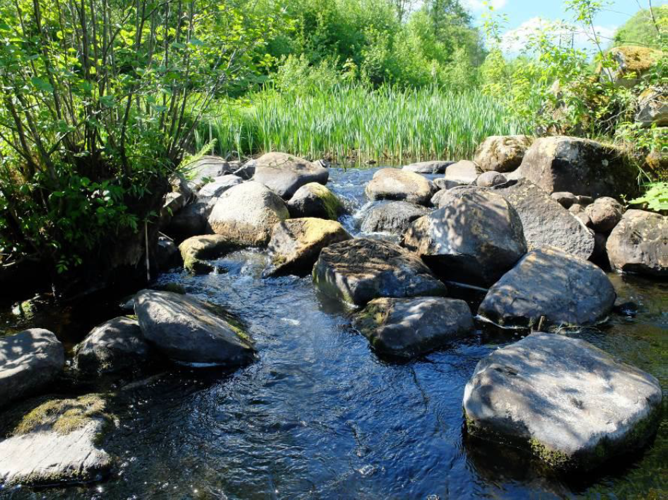 Detta är en ganska vanlig syn i mindre vattendrag i Jönköpings län. Stensättningarna är gamla dammrester som utgör definitiva vandringshinder för de flesta arter. Simstarka arter som öring kan vid högre flöden passera uppströms men vid normalflöde eller lågflöde är det inte passerbart för någon av de fiskarter som kan förekomma. Även nedströmsvandring är problematiskt vid låg eller normalflöden.